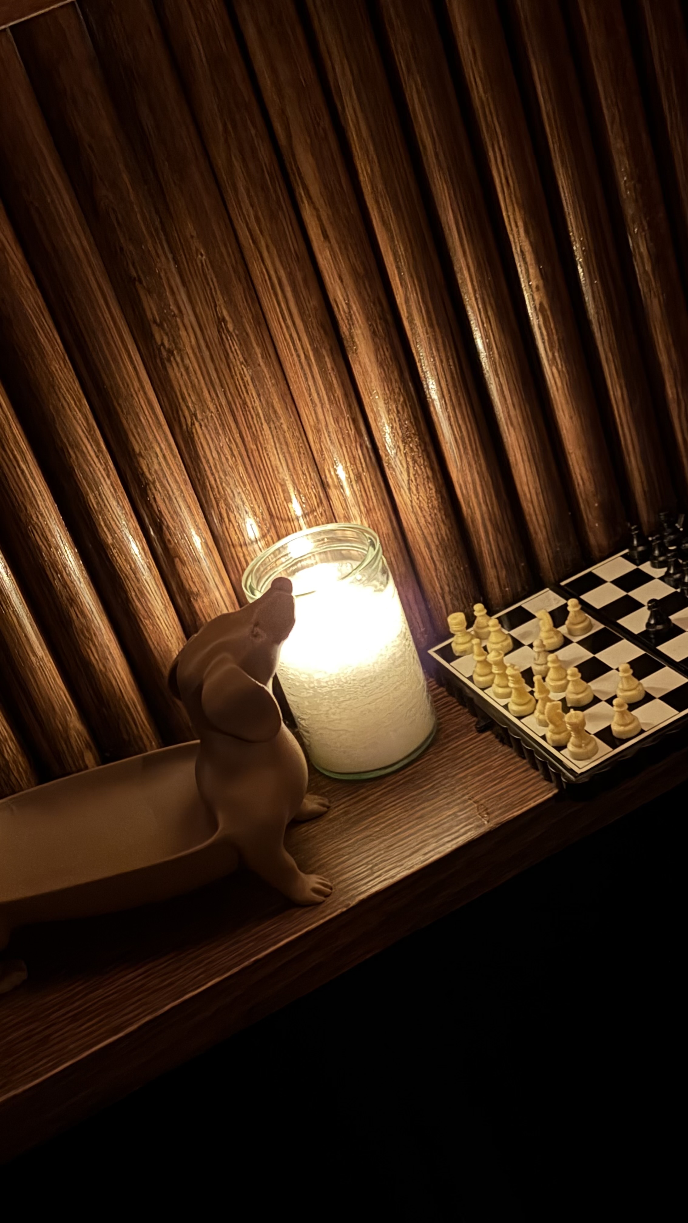 Dachshund Tray print