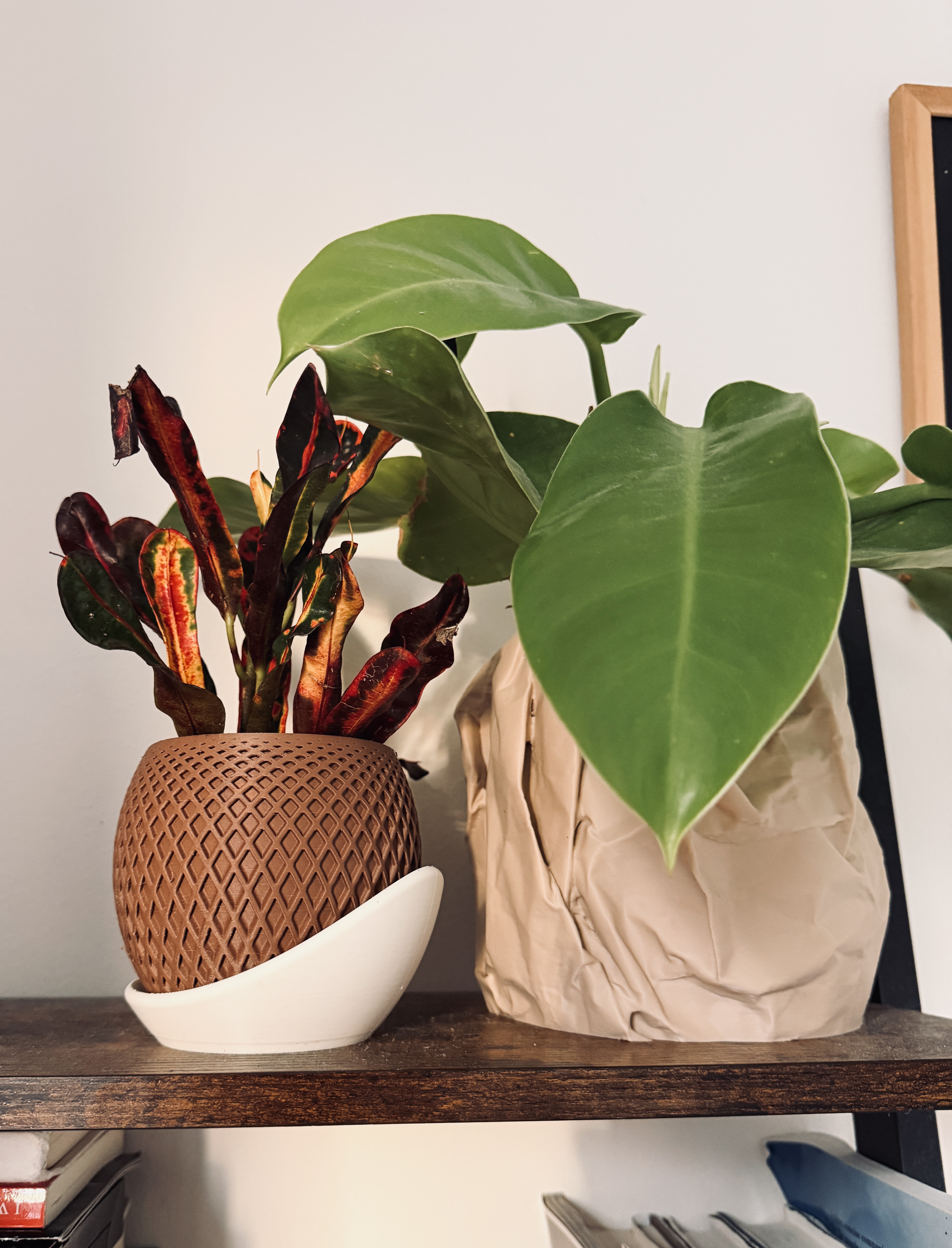 Polygon Planter print